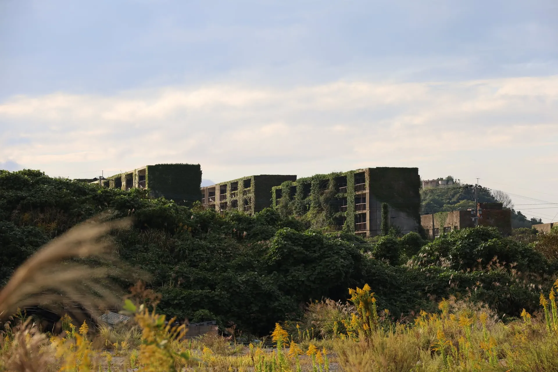 池島/廃団地