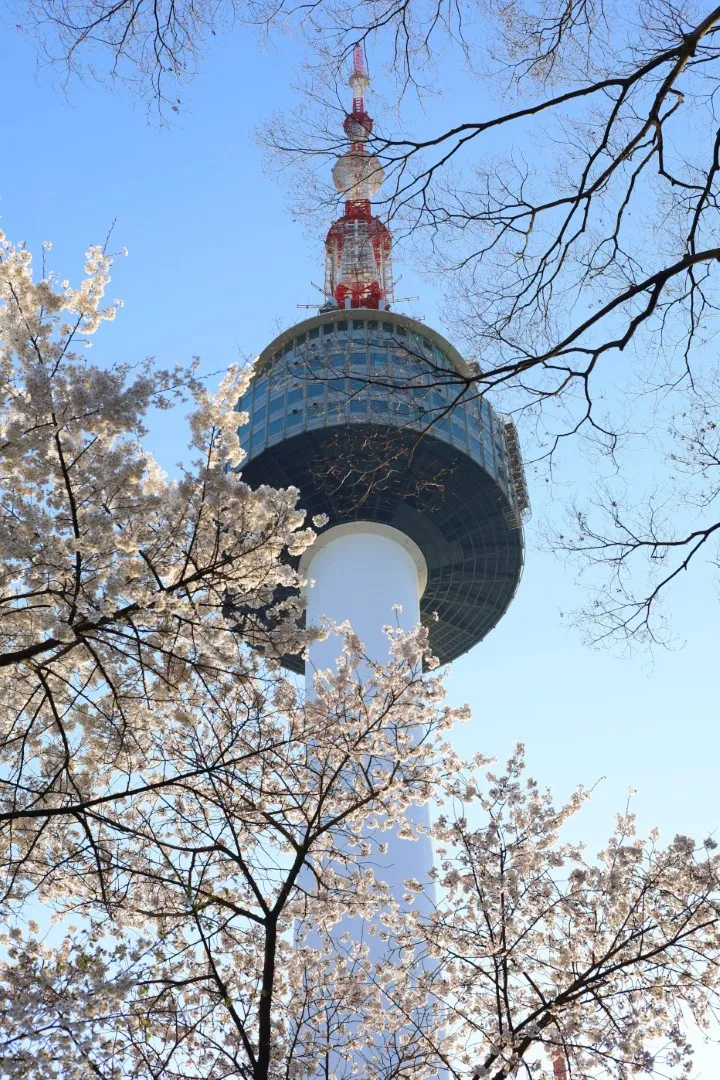 南山タワー